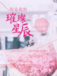 《你是我的璀璨星辰》全文&顾星辰席慕野章节目录