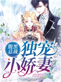 《腹黑总裁独宠小娇妻》小说章节目录及全文完整版(主角苏念,陆经年)