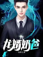 龙婿奶爸